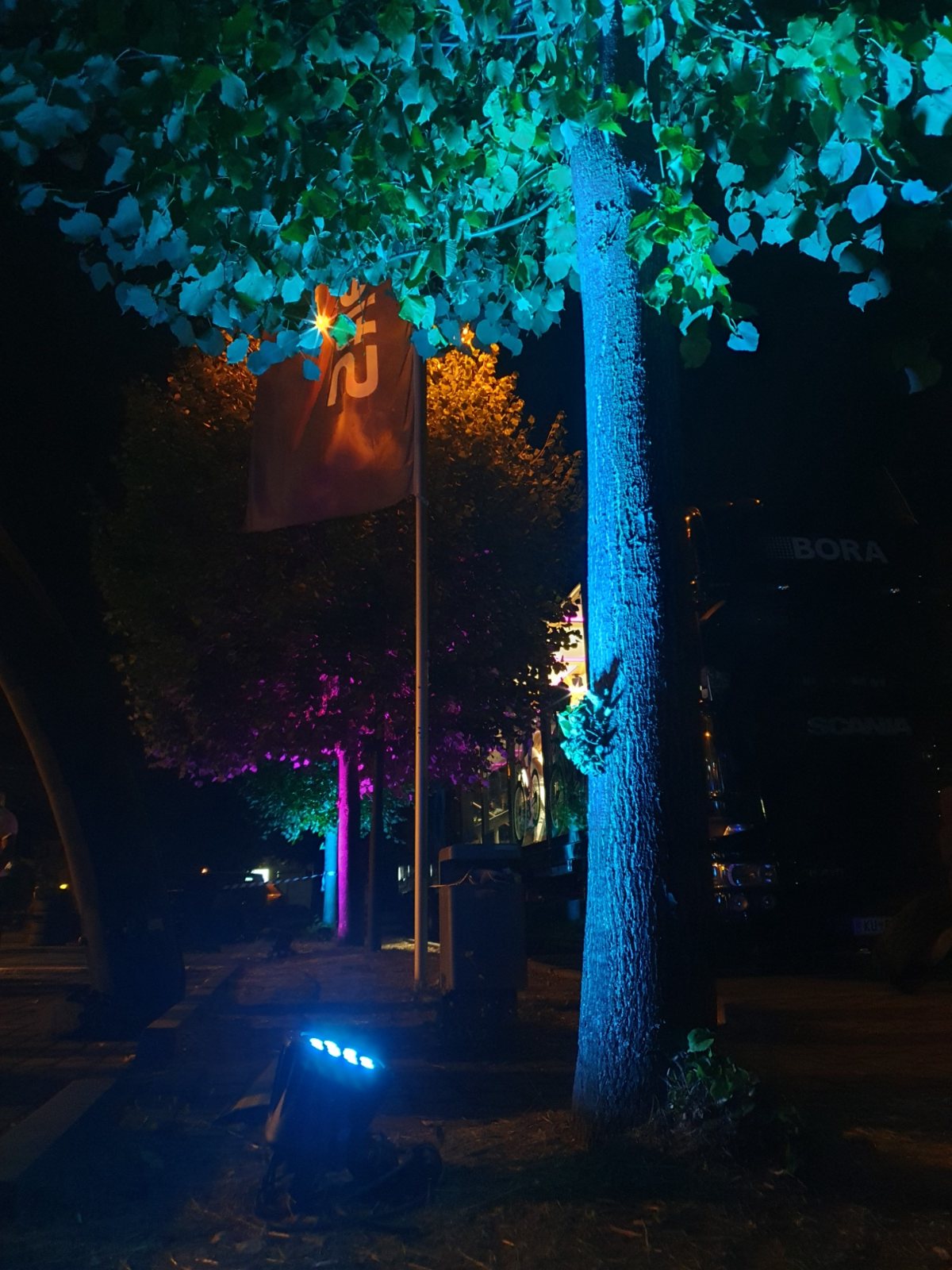 Bäume bei Nacht farbig angestrahlt